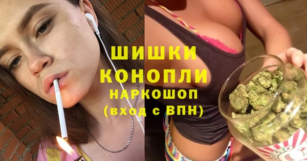 шишки Алексин