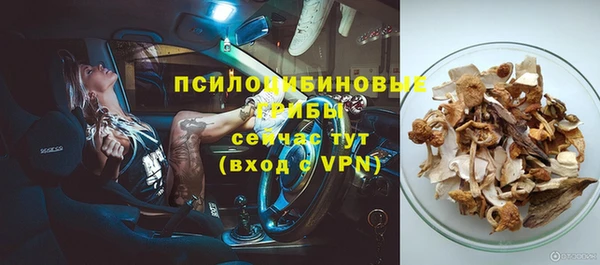 хмурый Алексеевка