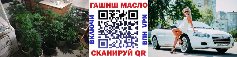 shop телеграм цены hydra как войти Сургут ТГК концентрат