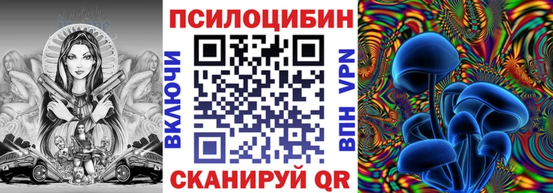 Псилоцибиновые грибы Psilocybine cubensis  Сургут 